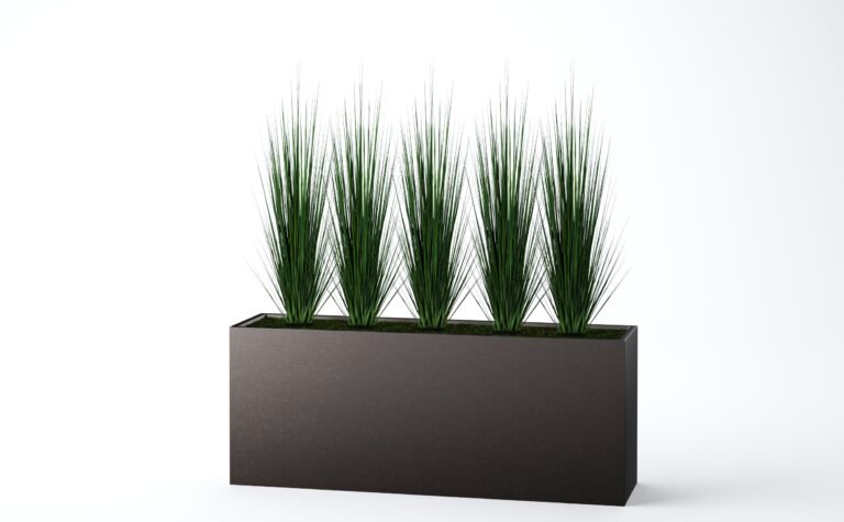 Onion Grass