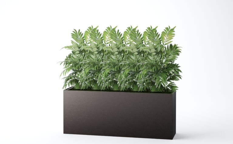 Neanthe Bella Palm