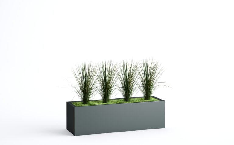 Onion Grass Pick
