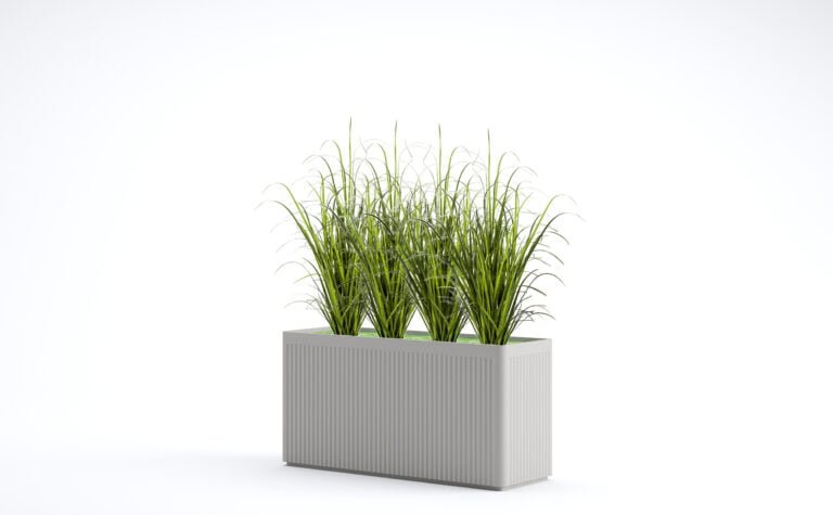 Onion Grass
