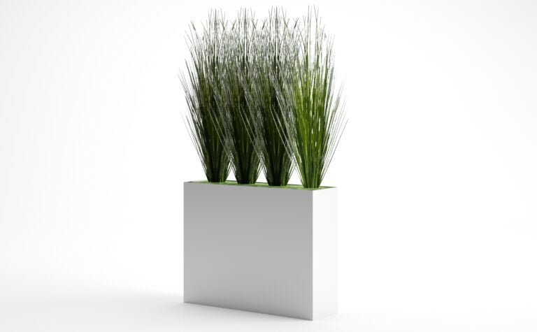 Onion Grass