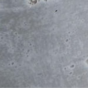 Grey Rock