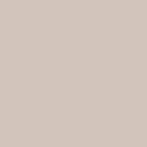 Oyster Gray
