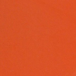 Tiger Orange