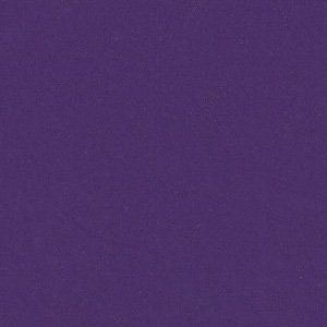 Playground Purple