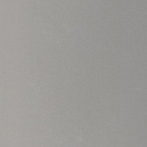 Gull Grey