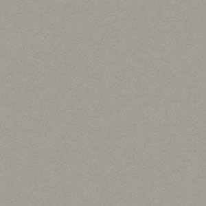 Dove Grey