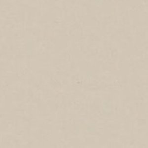 Neutral Light